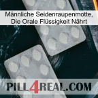 Männliche Seidenraupenmotte, Die Orale Flüssigkeit Nährt 17